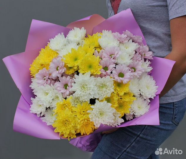 Хризантема кустовая опт
