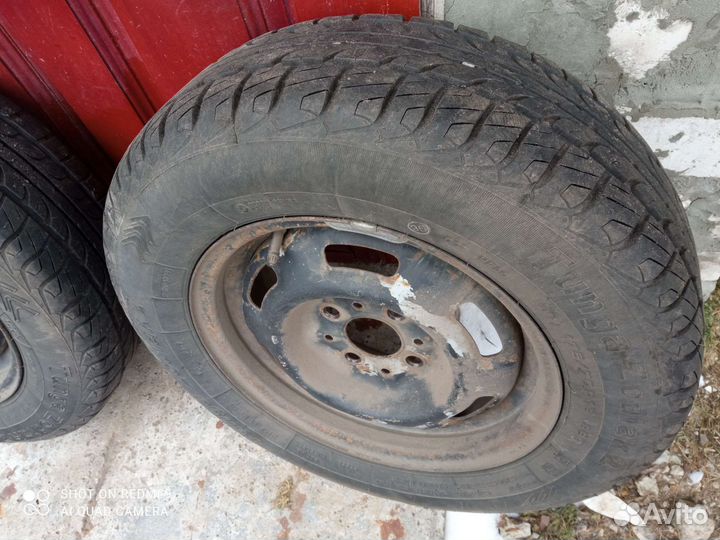 Tunga Zodiak 2 175/70 R13