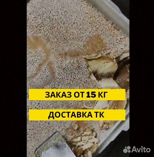 Экологически чистый мед оптом