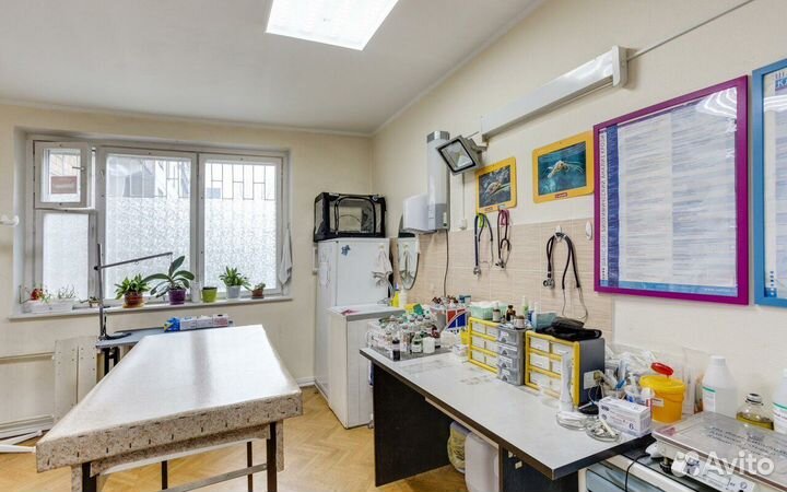 Кастрация котов, кобелей и стерилизация кошек, сук