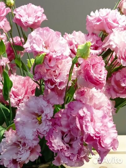 Доставка цветов и букетов, гелиевые шары