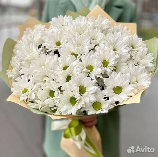Хризантема. Букеты Цветы доставка