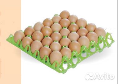 Ящики для перевозки птицы