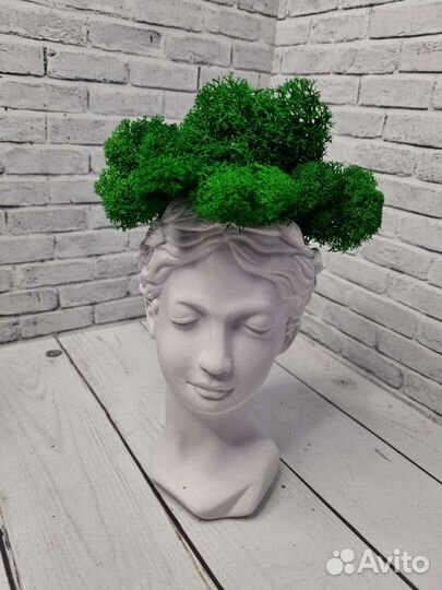 Кашпо из гипса + стабилизированный мох