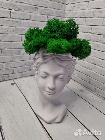 Кашпо из гипса + стабилизированный мох