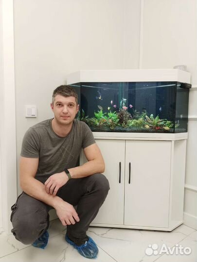 Чистка аквариума, Обслуживание аквариума