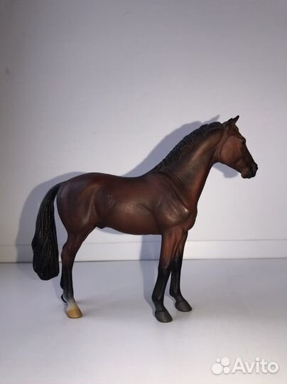 Ганноверский жеребец Collecta