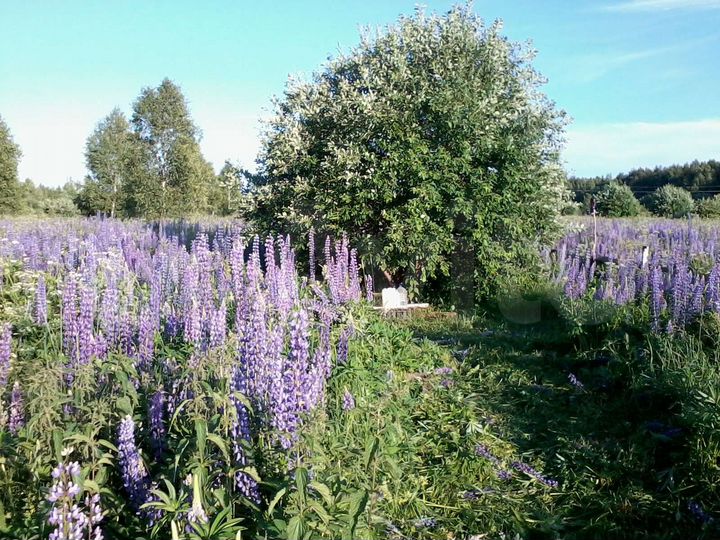 Участок 20 сот. (ИЖС)