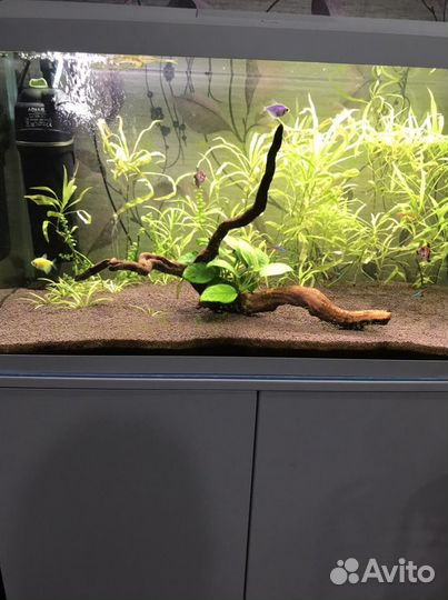 Аквариум и тумба