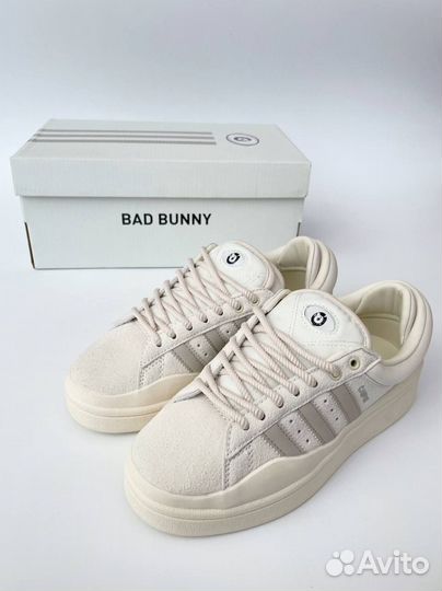 Adidas campus bad bunny