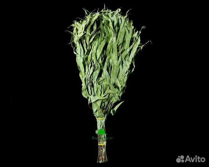 Дубовые веники для бани