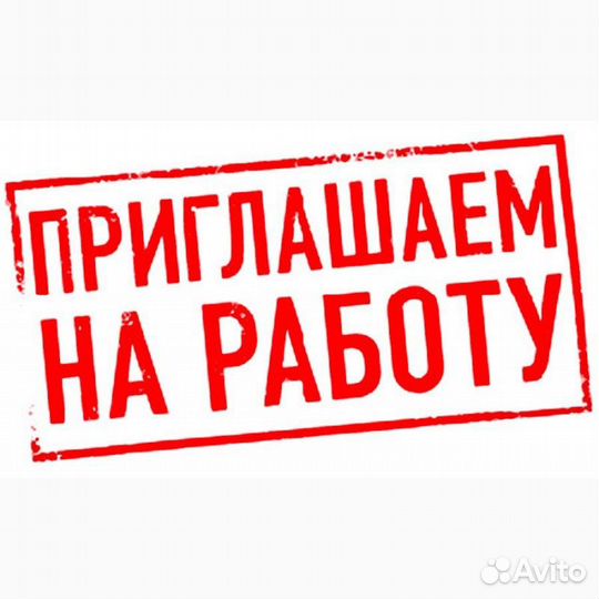 Бухгалтер-экономист