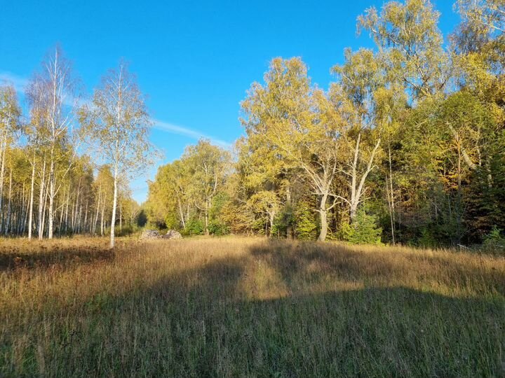 Участок 14,8 сот. (СНТ, ДНП)