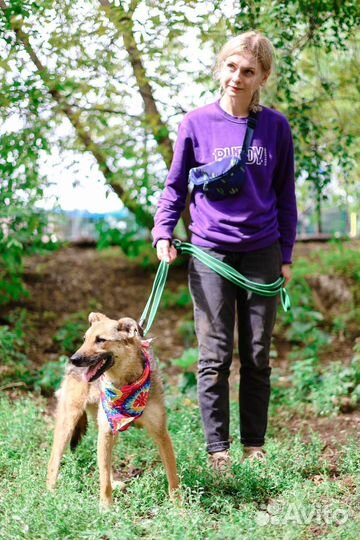 Лакки была домашней а потом вернули в приют