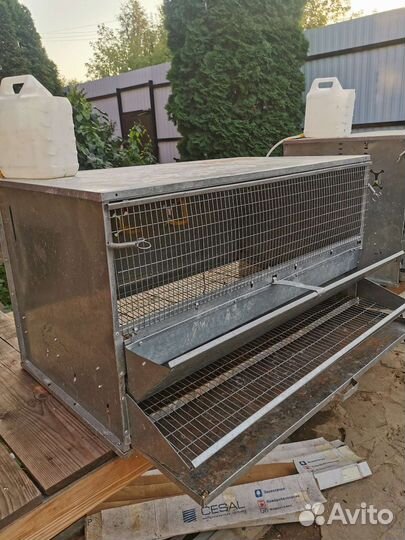 Клетки для кур несушек Crazy Ferma