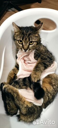 Малышке очень нужен дом