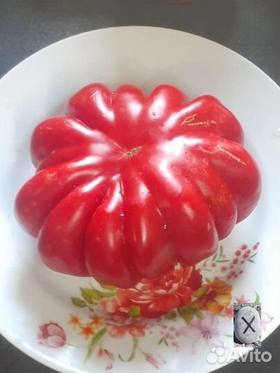 Сибирская гармошка помидор из СССР
