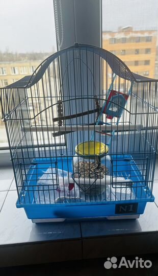 Клетка для попугая и ванночка