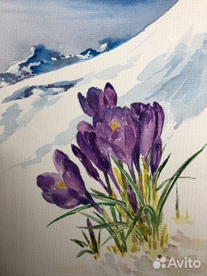 Крокусы, акварель, пейзаж
