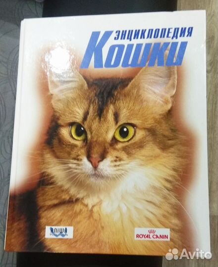 Энциклопедия Кошки