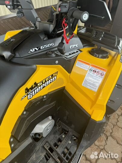 Стелс гепард 650G