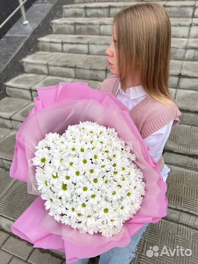 Хризантема букет цветы