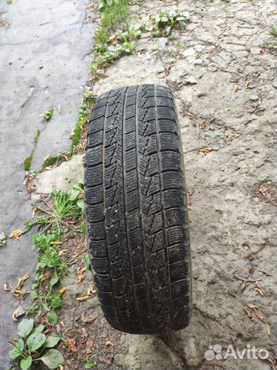 Roadstone Winguard Ice 195/65 R15 91Q