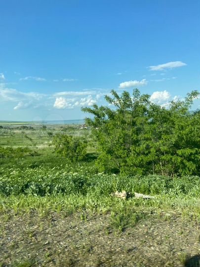 Участок 100 сот. (СНТ, ДНП)