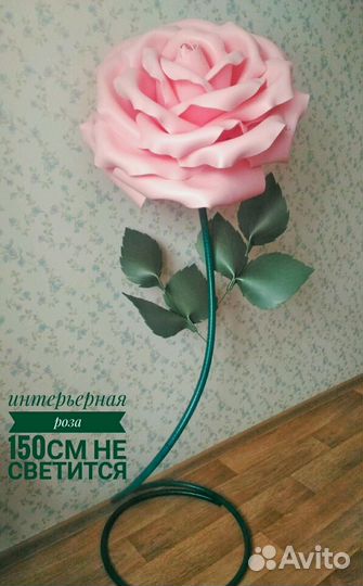 Роза ростовой цветок-светится