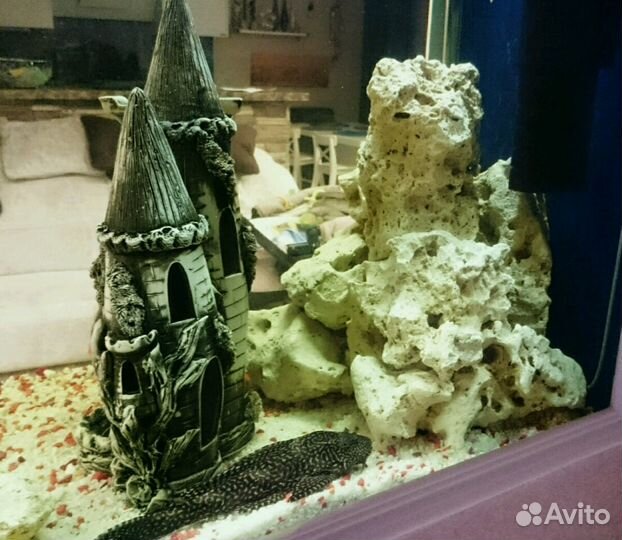 Камни для аквариума и полезный подарок