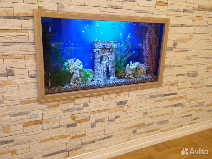 Обслуживание аквариума