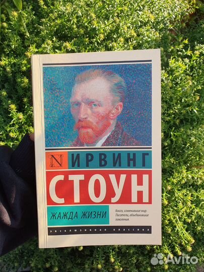 Книга Ирвинга Стоуна 