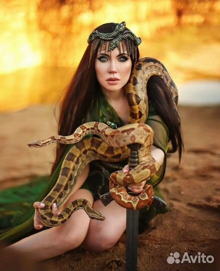 Аренда змей,лис,енотов, сов,для съёмок,мероприятий