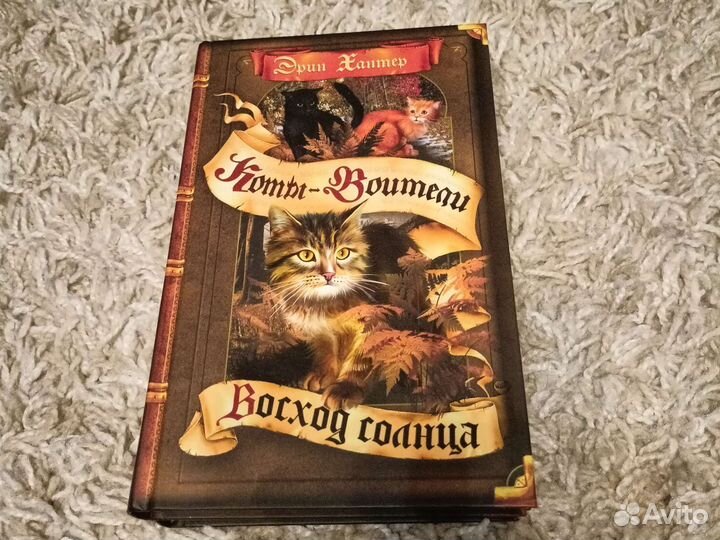 Серия книг Э. Хантер 