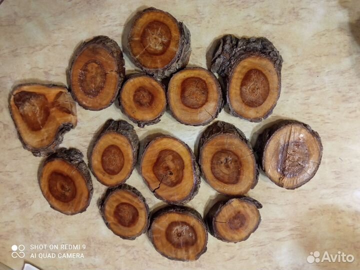 Спилы дерева для рукоделия