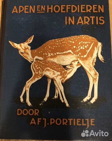 Книга старинная