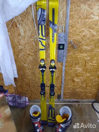 Горнолыжные лыжи