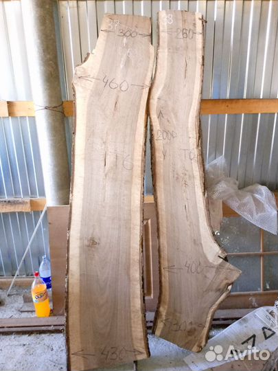 Слэб ореха грецкого