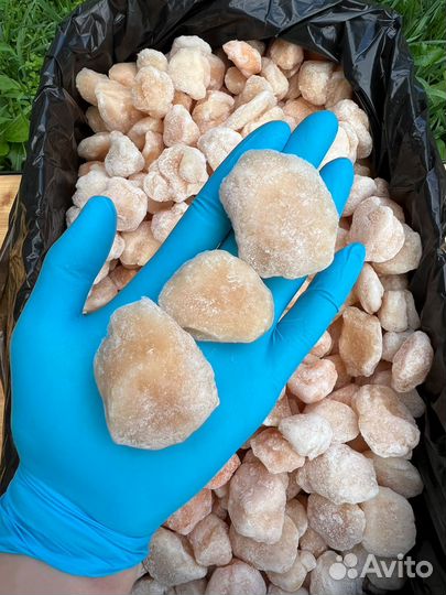 Гребешок Сахалинский 10/20