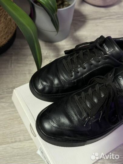 Кеды Calvin Klein Jeans Chunky Sole Laceup Oxford