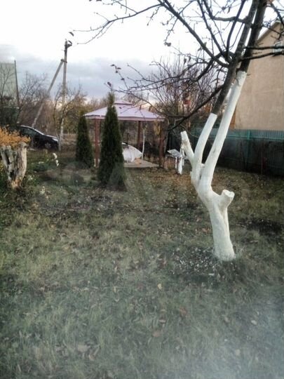 Дом 36 м² на участке 14 сот.