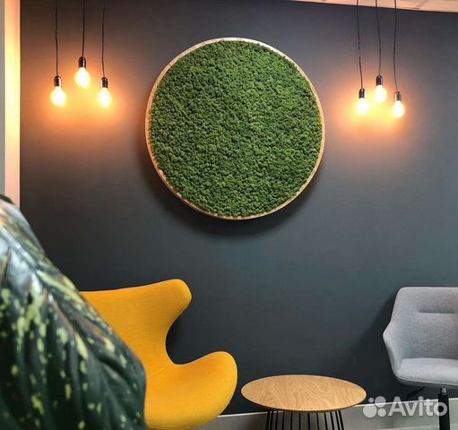 Стабилизированный мох