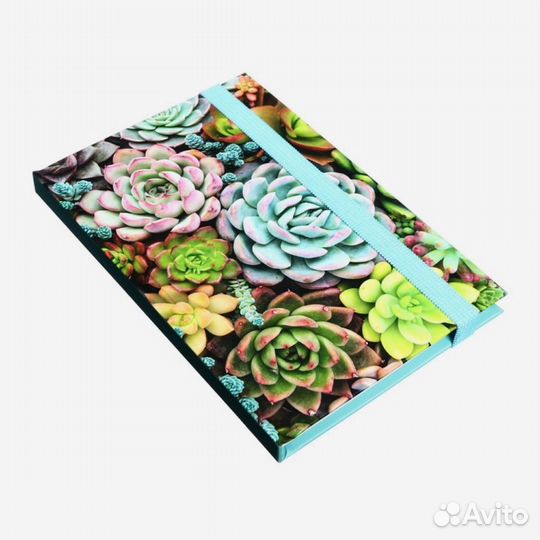 Суккуленты записная книжка