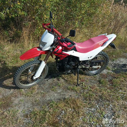 Irbis ttr 250