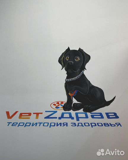 Художественная роспись стен, художник Мурманск