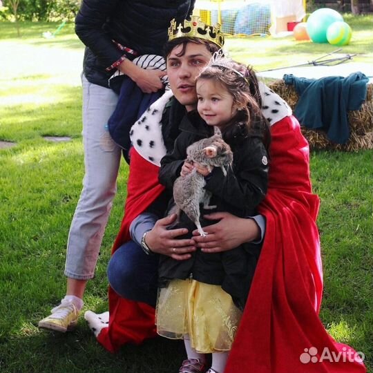 Волшебное шоу со зверятами