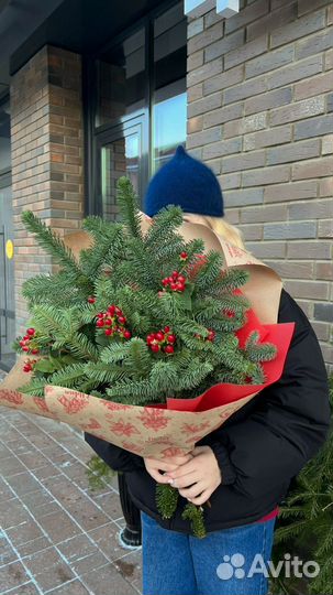 Ветки нобилис