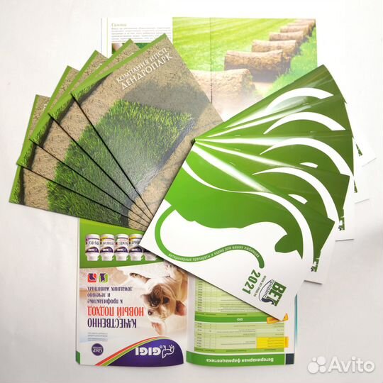 Дизайн и печать. Полиграфия. Тиражирование