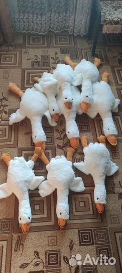 Гусь обнимусь