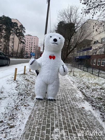 Выступление Белого медведя